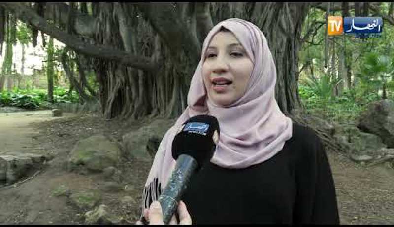 سينما: “فيكوس” … الشجرة التي جسدت فيلم طارزان بحديقة الحامة