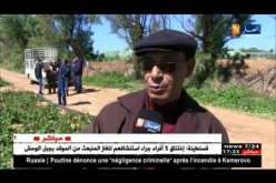 الشلف: فلاحون يتكبدون خسائر عقب التقلبات الجوية الأخيرة أمام غياب ثقافة التأمين