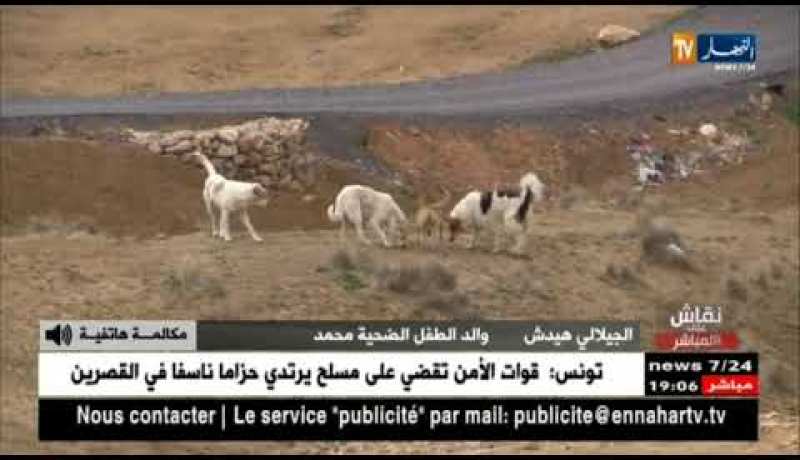 نقاش على المباشر: وفاة طفل بسبب هجوم كلب متشرد بتيبازة.. القصة الكاملة