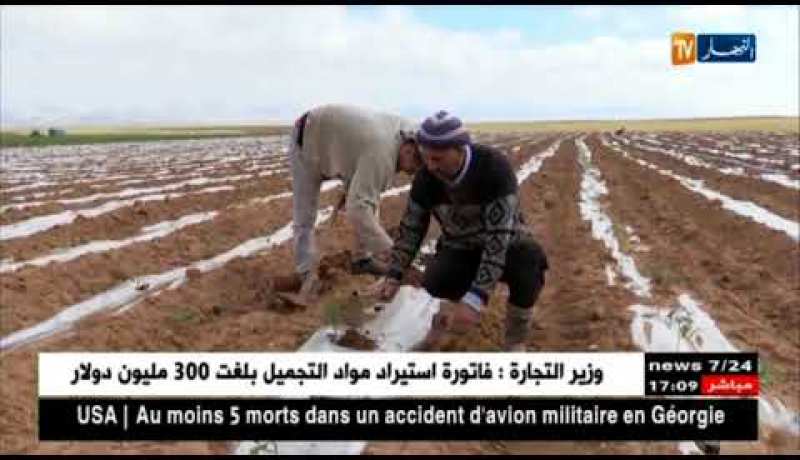 غليزان: الإستثمار في الطماطم الصناعية.. وجهة فلاحو ولاية مستغانم