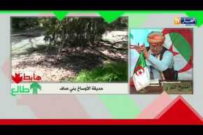 طالع هابط: حديقة الأوساخ ببني صاف “كلاها الزيڨو”