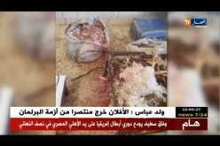 تيارت: حجز قنطار ونصف من الدجاج داخل مزرعة بعين الذهب