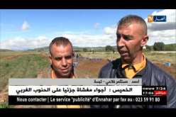 تبسة: فلاحو الشريط الحدودي يسجلون قفزة في إنتاج البطاطا رغم العراقيل