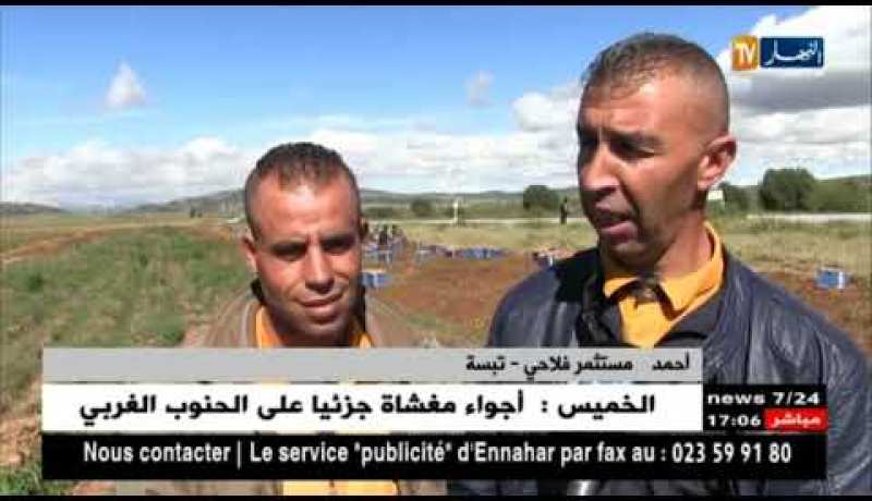 تبسة: فلاحو الشريط الحدودي يسجلون قفزة في إنتاج البطاطا رغم العراقيل