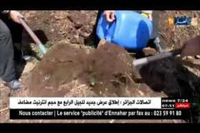 تيزي وزو : تجربة فلاحية في إستغلال بقايا عصرالزيتون لإستخراج الأسمدة العضوية