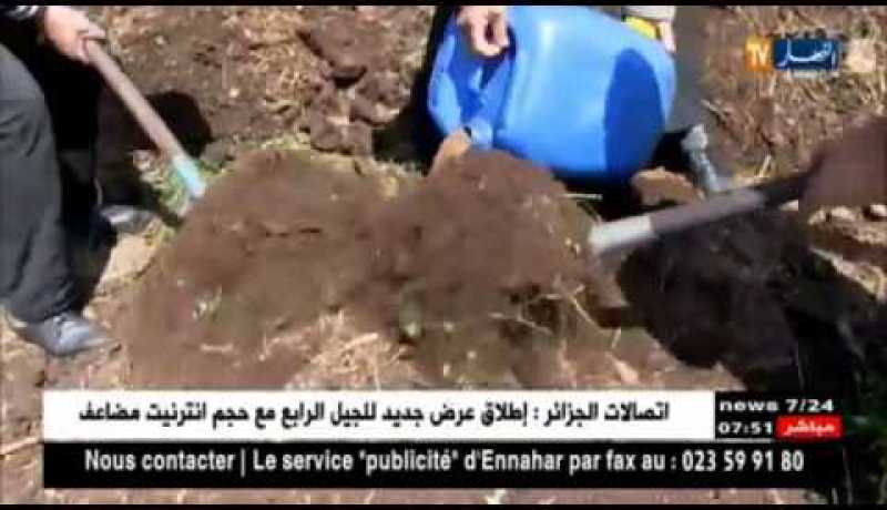 تيزي وزو : تجربة فلاحية في إستغلال بقايا عصرالزيتون لإستخراج الأسمدة العضوية