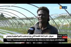 هجرة غير شرعية: معاملة الجزائريين للأفارقة ..الصورة المشرقة