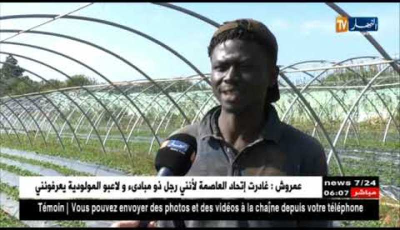 هجرة غير شرعية: معاملة الجزائريين للأفارقة ..الصورة المشرقة