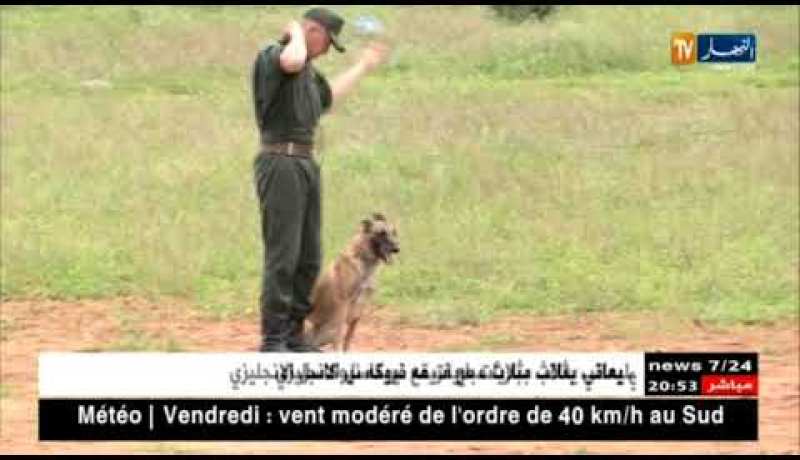 درك وطني: كلاب محلية مدربة لإكتشاف المخدرات والأسلحة