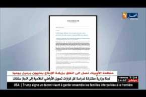 فولسفاغن تولي أهمية كبيرة لمنطقة شمال إفريقيا  في إستراتيجيتها المستقبلية