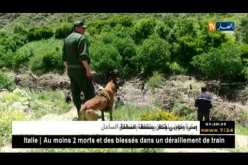 سطيف: تواصل عمليات البحث على الجثة المفقودة بعد الفياضانات الأخيرة