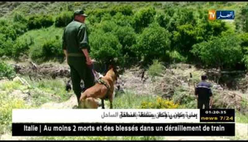 سطيف: تواصل عمليات البحث على الجثة المفقودة بعد الفياضانات الأخيرة