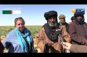 برج باجي مختار: طابع خاص بالإبل لتسهيل الإحصاء والمحافظة على الثروة الحيوانية