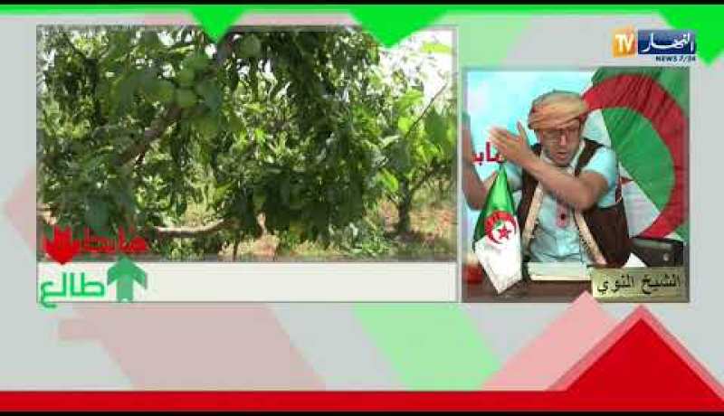 العدد 210 من طالع هابط مع الشيخ النوي