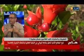 الفطريات والحشرات تكبد الفلاحين خسائر معتبرة !!