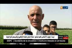 غليزان : خبراء الفلاحة ينقلون خبرتهم للفلاحين حول الإستخدمات العقلانية للأسمدة