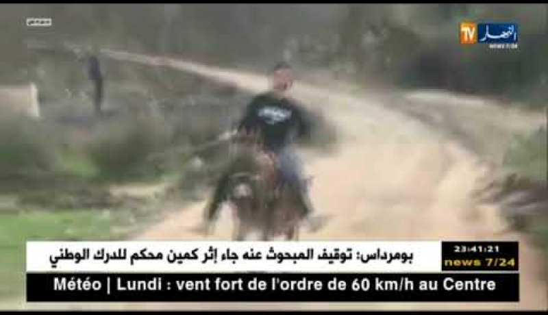 سطيف: سباق الأحمرة يصنع الحدث بقرية ذراع قبيلة