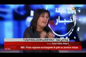 إنشاء مواقع إخبارية على الأنترنت..الكفاءة المهنية خارج الأطر