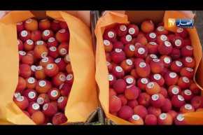 تجارة: شركة “ECD FOODS” تصدر 18 طن من الفواكه للإمارات و السعودية