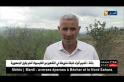 سكيكدة: شواهد على مدن أثرية رومانية مهملة بأولاد أحبابة