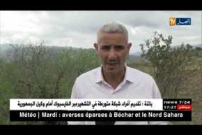 سكيكدة: شواهد على مدن أثرية رومانية مهملة بأولاد أحبابة