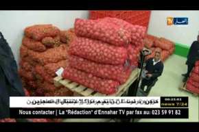 الوادي: بعد فضيحة التخزين في المستودعات.. وحدة الحفظ والتبريد ينطلق نشاطها