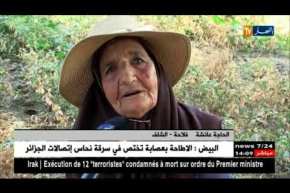 الشلف: الحاجة عائشة ..عندما ترتبط المرأة بخدمة أرضها لسنين