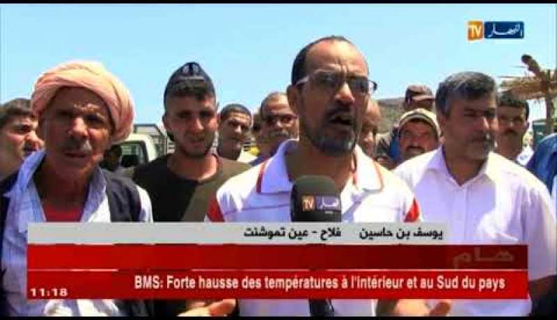 عين تموشنت : الفلاحون بولهاصة يطالبون بسوق منظم