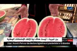 رمضان2018: بيع الدلاع ب “البرج” يستهوي الصائمين