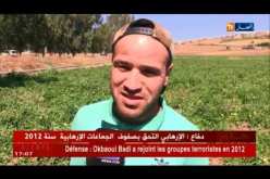 قالمة: ندرة في مياه السقي يرهن مصير فلاحي شعبة الطماطم