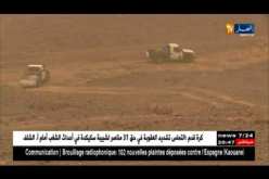 جمارك: المرشدون بصحراء تمنراست.. هكذا يتم تقفي أثر عصابات الذهب