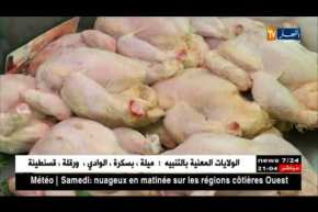 تجارة: إستقرار أسعار الخضر والفواكه.. والدجاج بـ 370 دج لكيلو غرام