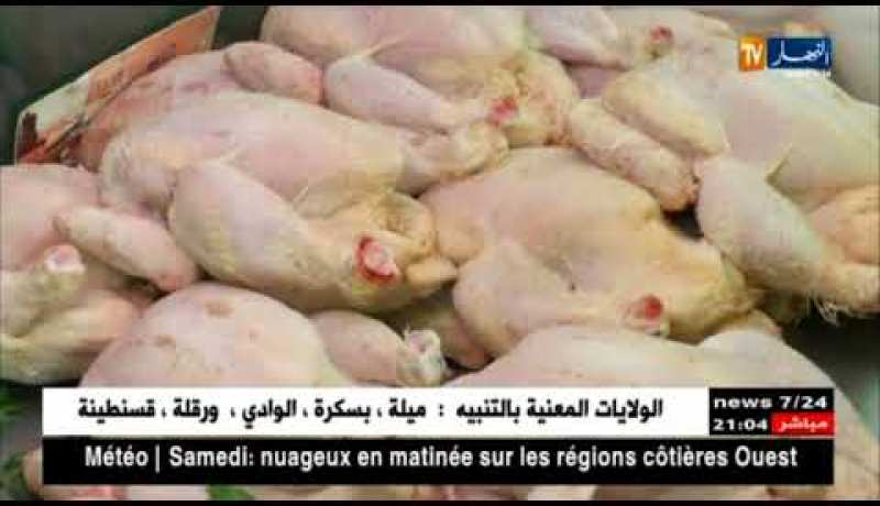 تجارة: إستقرار أسعار الخضر والفواكه.. والدجاج بـ 370 دج لكيلو غرام