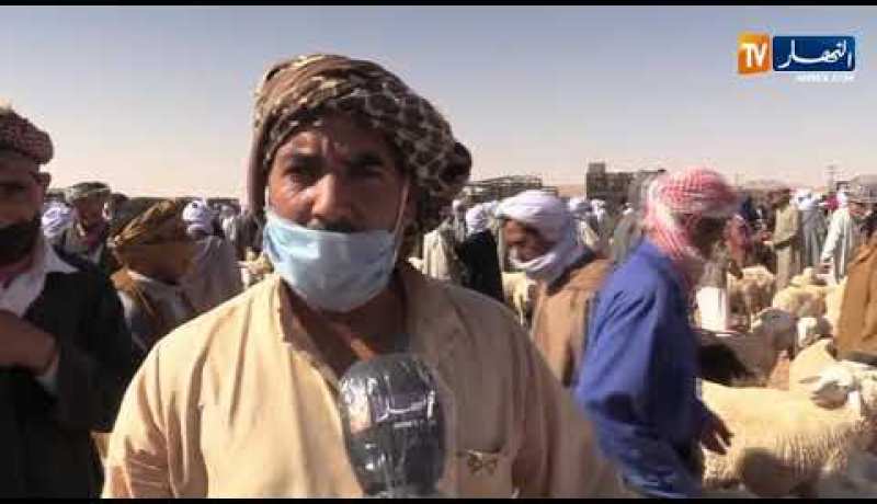 البيض: غلاء الأعلاف ونقص البيع يزيد من معاناة الموالين