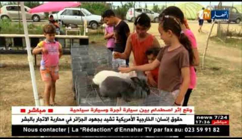 فلاحة: تربية الطيور هواية نادرة لدى بعض الشباب