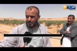 الجلفة: الكهرباء الفلاحية حلم مؤجل عند فلاحي منطقة “فيض الزوايا” بعين أفقة