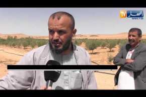 الجلفة: الكهرباء الفلاحية حلم مؤجل عند فلاحي منطقة “فيض الزوايا” بعين أفقة