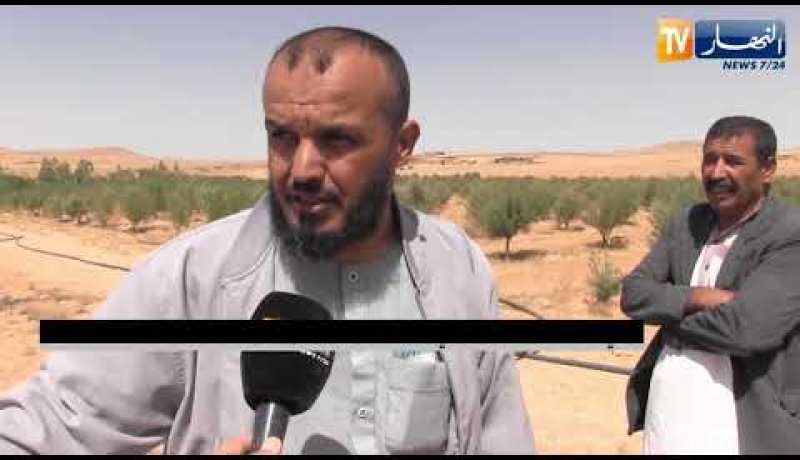 الجلفة: الكهرباء الفلاحية حلم مؤجل عند فلاحي منطقة “فيض الزوايا” بعين أفقة