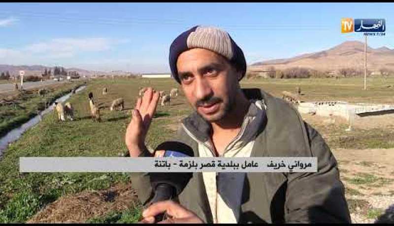 باتنة: السقي بالمياه القذرة.. مروانة تستغيث