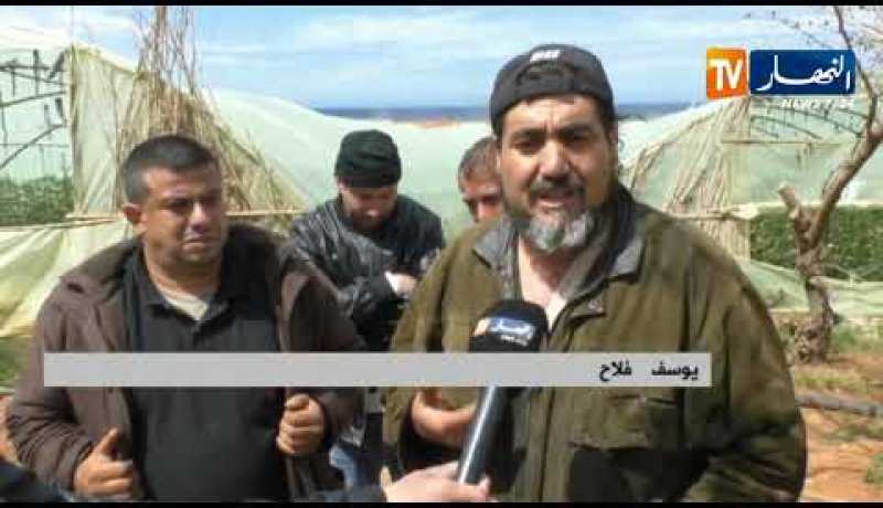 تيبازة: محطة لتطهير المياه على أرض زراعية.. الفلاحون يحتجون