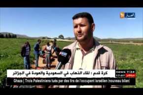 سعيدة: إنطلاق عملية جني الطماطم مقابل تراجع في إنتاج بسيدي مبارك