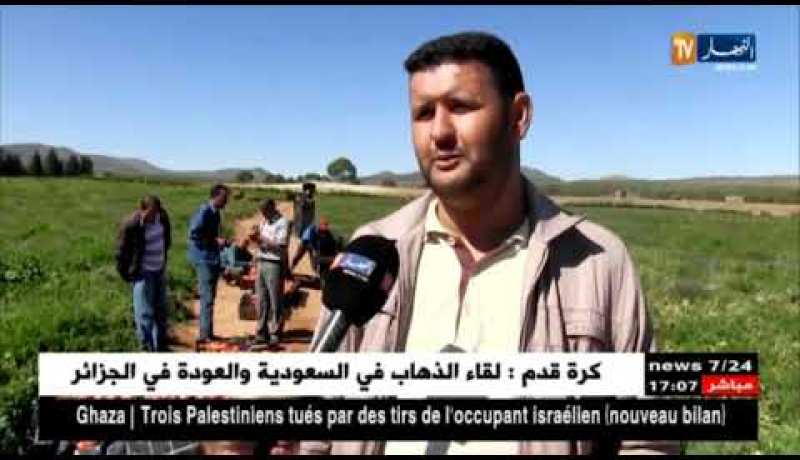 سعيدة: إنطلاق عملية جني الطماطم مقابل تراجع في إنتاج بسيدي مبارك