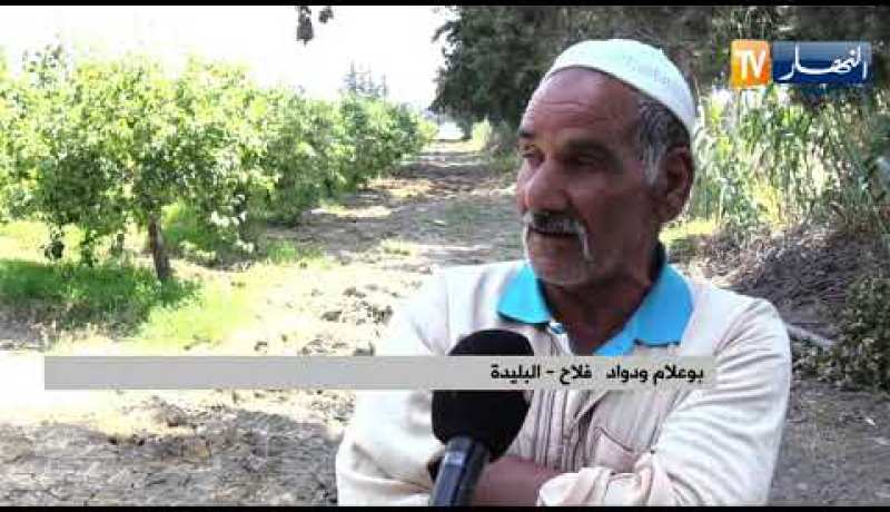فلاحة: غياب دعم عملية السقي.. فلاحون يتكبدون خسائر كبيرة