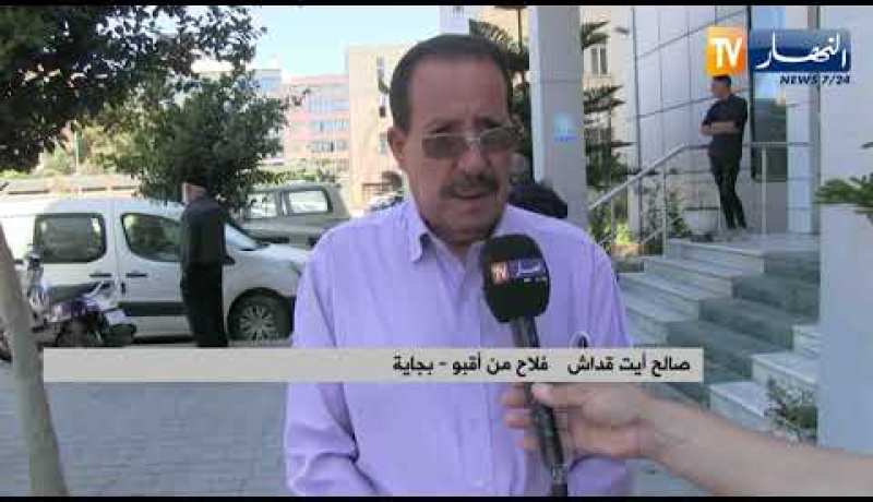 بجاية: تخرج 45 مرشد فلاحي في شعبة زراعة الزيتون بتموين من الإتحاد الأوروبي