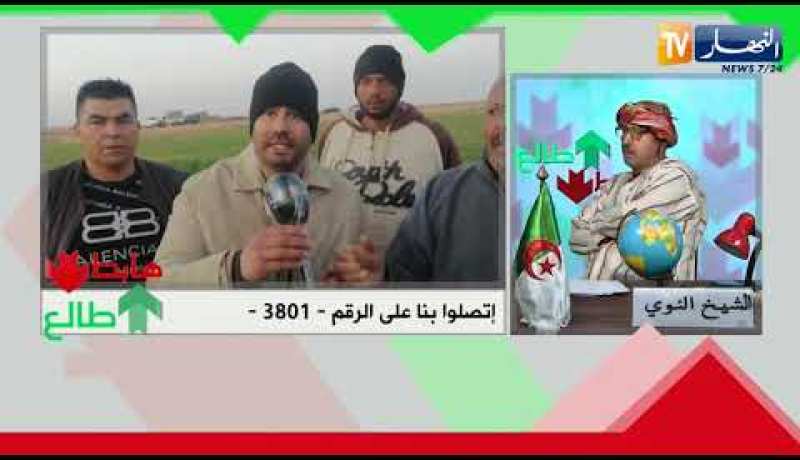 الشيخ النوي: بصل تيارت يوكل كامل الجزائر لكن.. أراضي تاع فلاحين بدون كهرباء