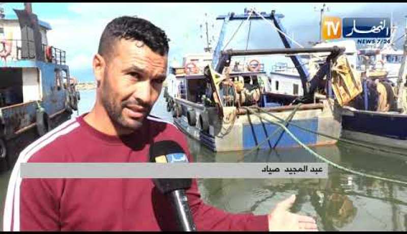 صيد بحري: هذا ما يفلعه الصيادون عقب كل تقلب جوي