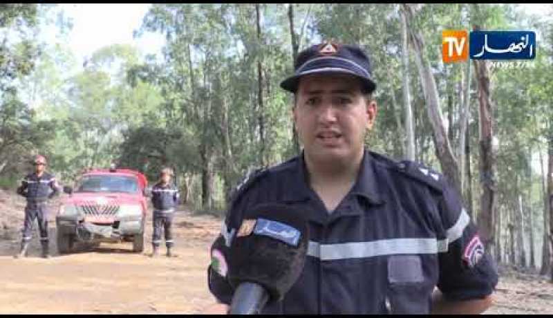 الطارف: نشوب حرائق بمناطق مختلفة تأتي على مساحات غابية شاسعة