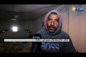 سعيدة: تربية الدواجن… نشاط ناجح وفلاحون ينتظرون الدعم