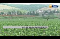 وزارة الفلاحة: إعادة إطلاق جهاز رقمنة القطاع قريبا