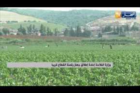 وزارة الفلاحة: إعادة إطلاق جهاز رقمنة القطاع قريبا